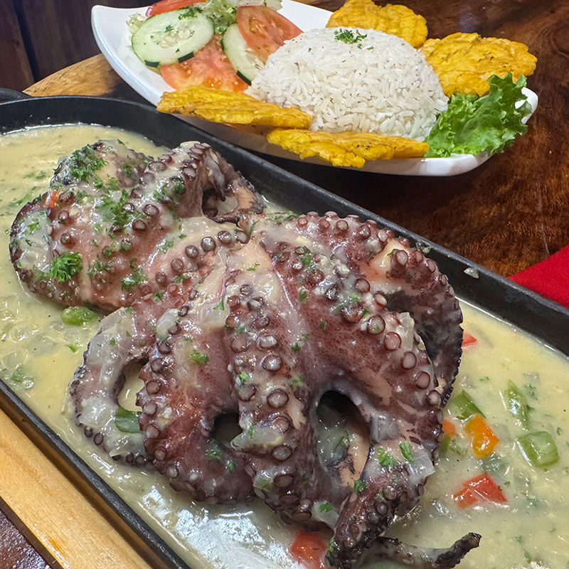 Pulpo Guaginega